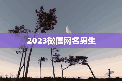 2023微信网名男生